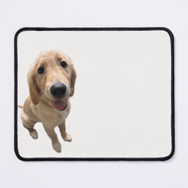 Item preview, Golden Retriever Puppy Face designed and sold by Colorcollage.