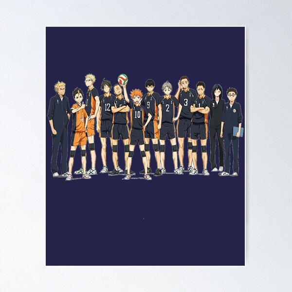 Poster Propaganda - Haikyuu - Karasuno Team - Characters - SA0560