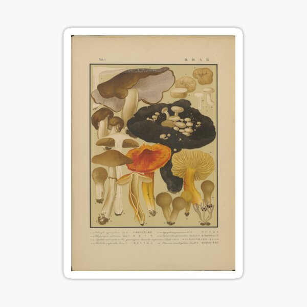 Seiichi Kawamura's Japanese Fungi Sticker
