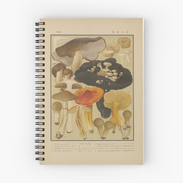 Aperçu de l'œuvre Les champignons japonais de Seiichi Kawamura créée et vendue par Lloyd Library & Museum.