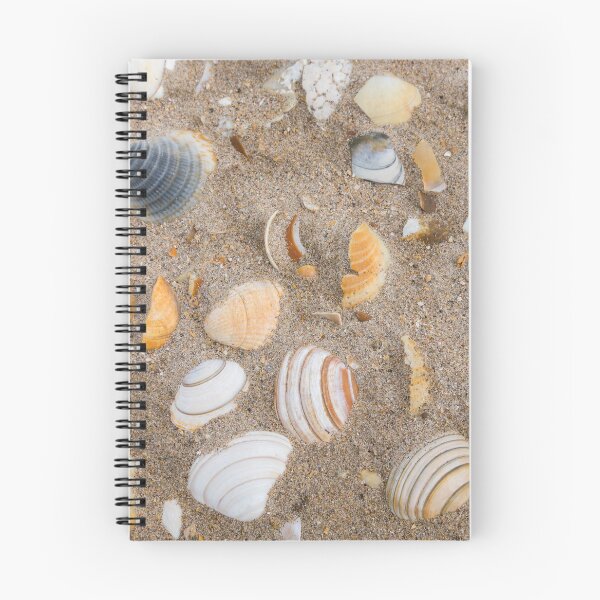 Item preview, Shells designed and sold by cmphotographs.