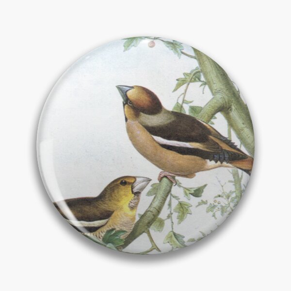 Item preview, Hawfinches. John Gould's Birds. designed and sold by mindwarp2000.