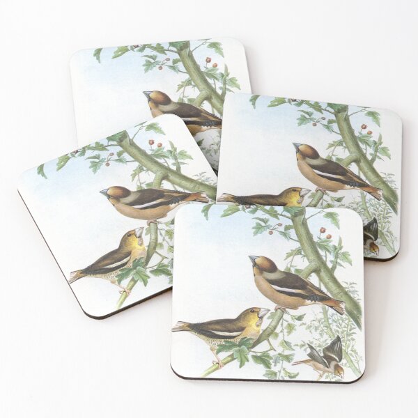 Item preview, Hawfinches. John Gould's Birds. designed and sold by mindwarp2000.