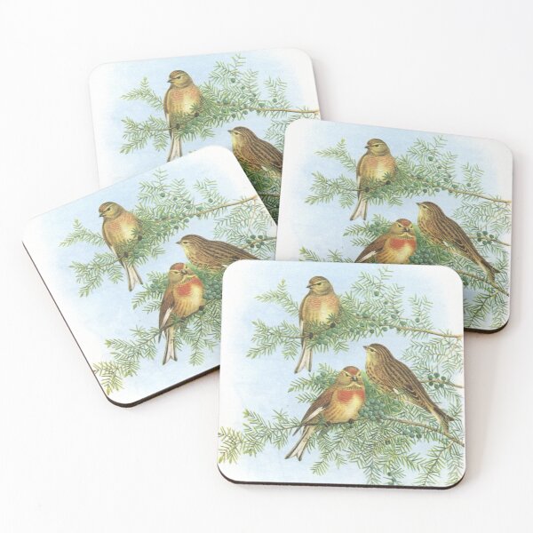 Item preview, Family of Linnets. John Gould's Birds. designed and sold by mindwarp2000.