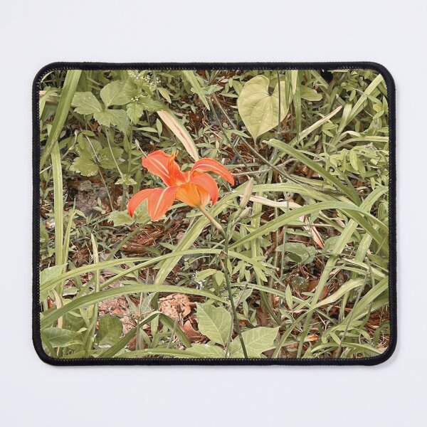 Item preview, orange flower designed and sold by abby cartwright.