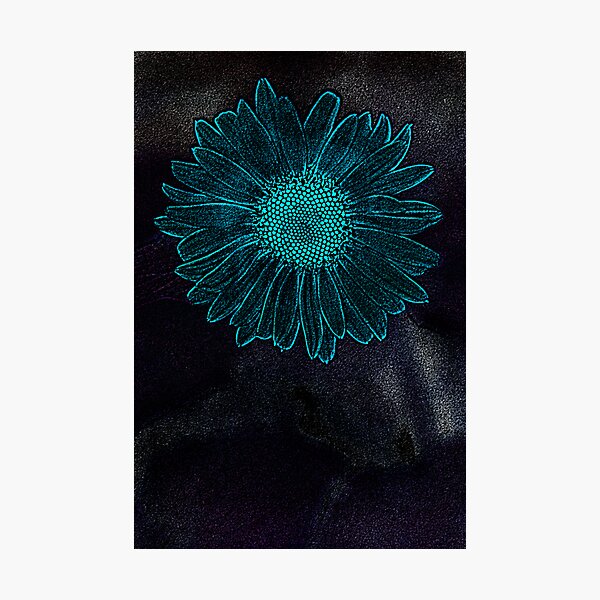 Cyan, for you... Photographic Print