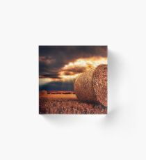 Nature Acrylic Block