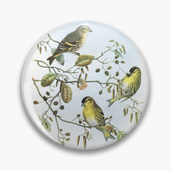 Item preview, Siskins On Alder. John Gould's Bird's. designed and sold by mindwarp2000.