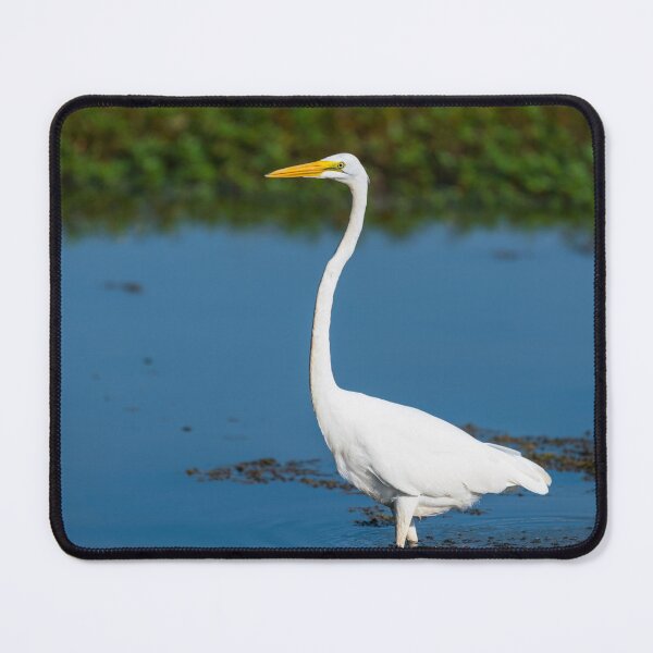 Item preview, Great White Egret Portrait designed and sold by mljdwhite.