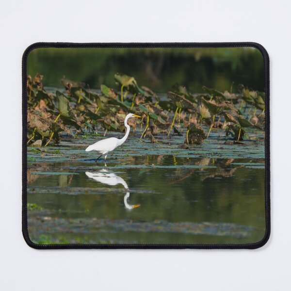 Item preview, White Egret Reflection designed and sold by mljdwhite.