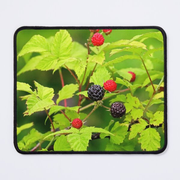 Item preview, Wild Blackberries designed and sold by Deb Oppermann.