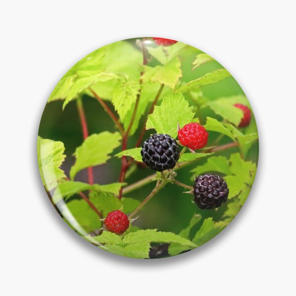 Item preview, Wild Blackberries designed and sold by Deb Oppermann.