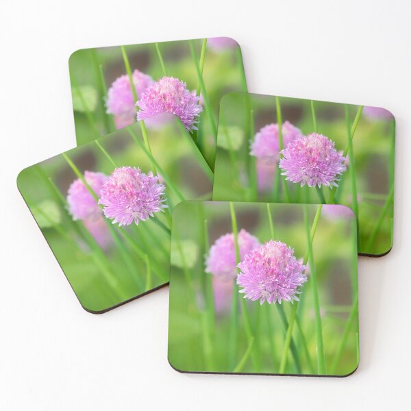 Item preview, Chives Allium-schoenoprasum designed and sold by Dorset Girl.