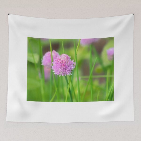 Item preview, Chives Allium-schoenoprasum designed and sold by Dorset Girl.
