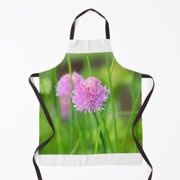 Item preview, Chives Allium-schoenoprasum designed and sold by Dorset Girl.