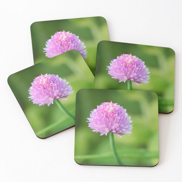 Item preview, Chives Allium-schoenoprasum designed and sold by Dorset Girl.