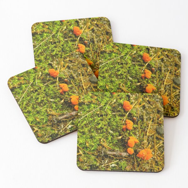 Item preview, Baby Chanterelles  designed and sold by etherealwonders.
