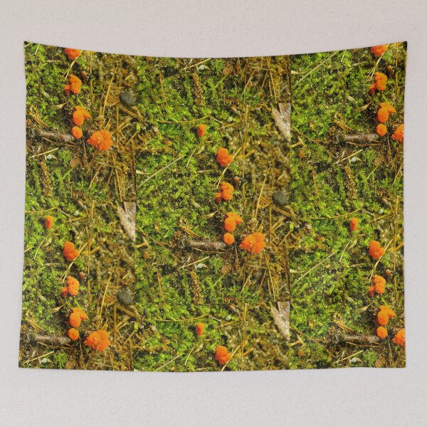 Item preview, Baby Chanterelles  designed and sold by etherealwonders.