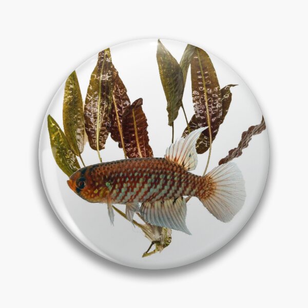 Item preview, Papiliolebias and crypt designed and sold by killies.