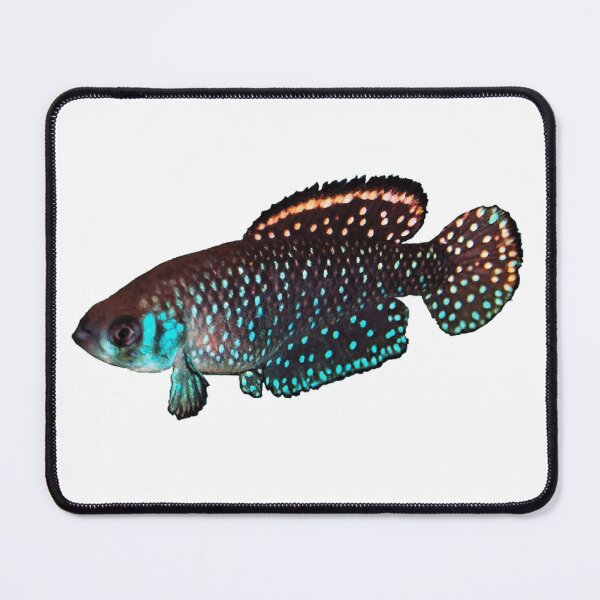 Item preview, Argentine Pearl Killi Fish designed and sold by killies.
