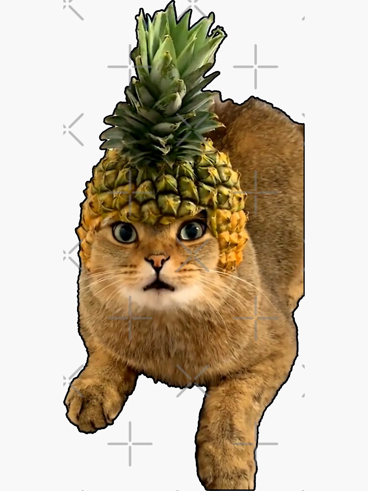 Pineapple shop cat costume