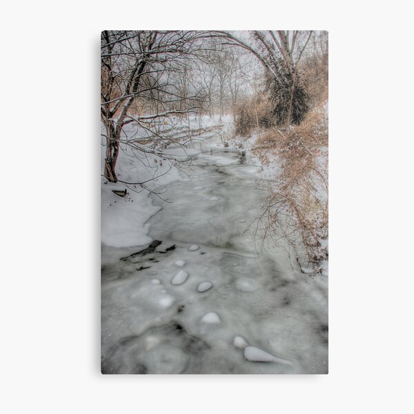 Four Pole Creek Metal Print