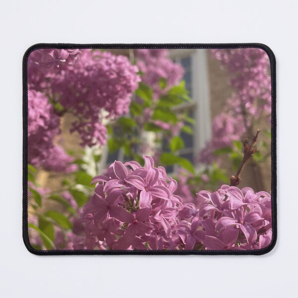 Item preview, Lilacs by Founders designed and sold by Pisces-Pics.