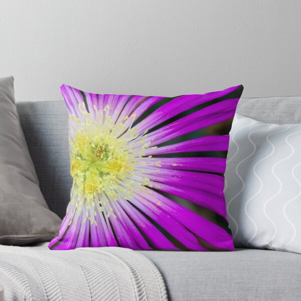 Item preview,  Ice Plant, delicate purple flower on dark background designed and sold by Chilli-Design.