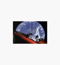 Tesla Starman Roadster Art Board