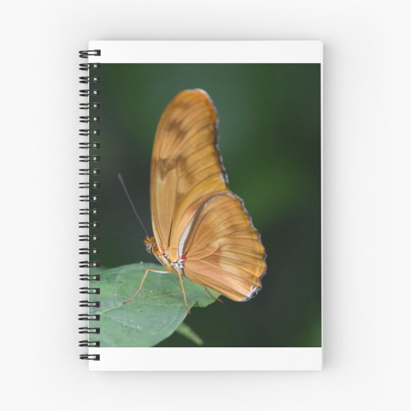 Item preview, Orange Buttterfly designed and sold by amzani.