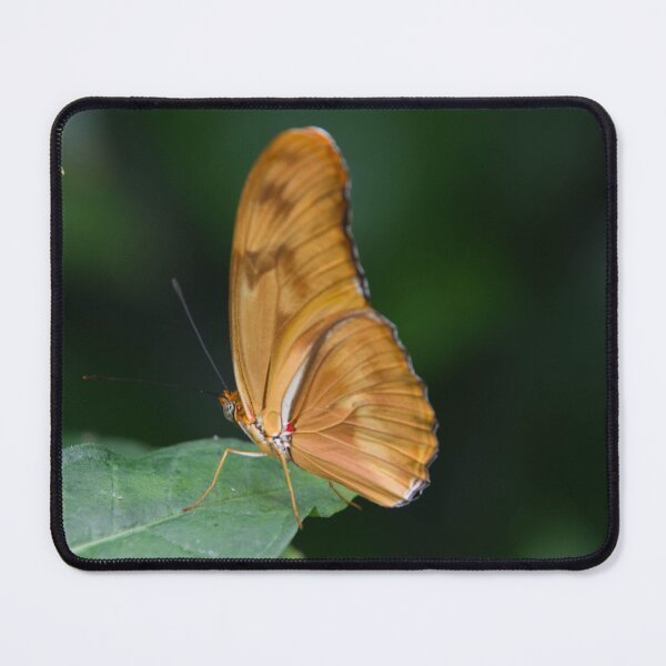 Item preview, Orange Buttterfly designed and sold by amzani.