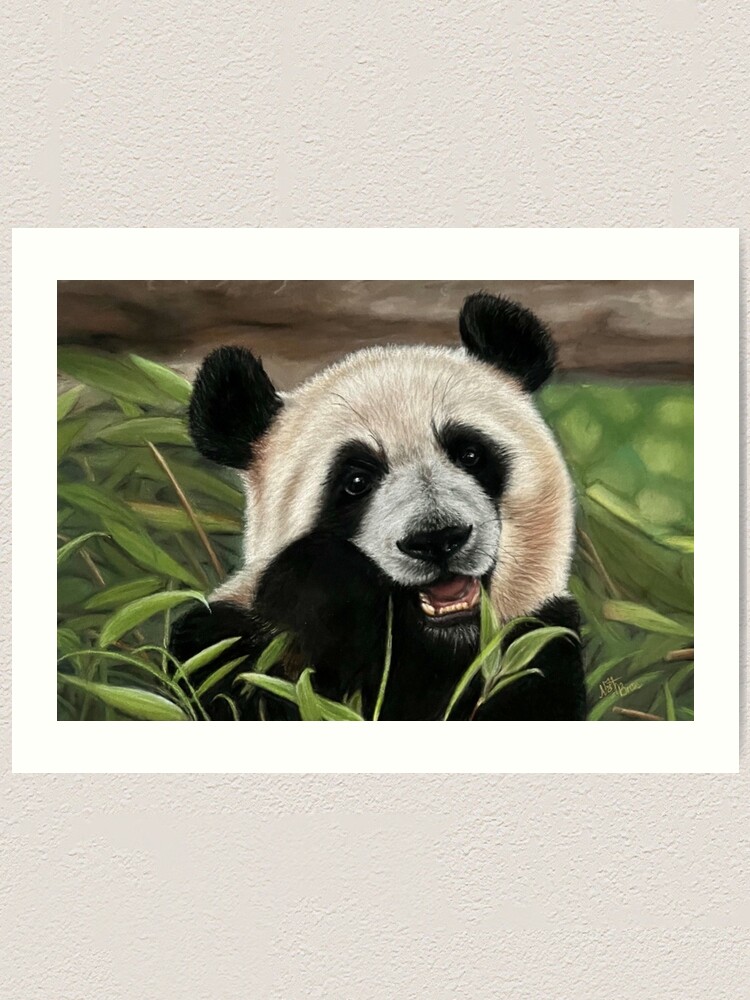 Cute Little Panda Munching On Bamboo Shoot - Cute Panda - Posters and Art  Prints