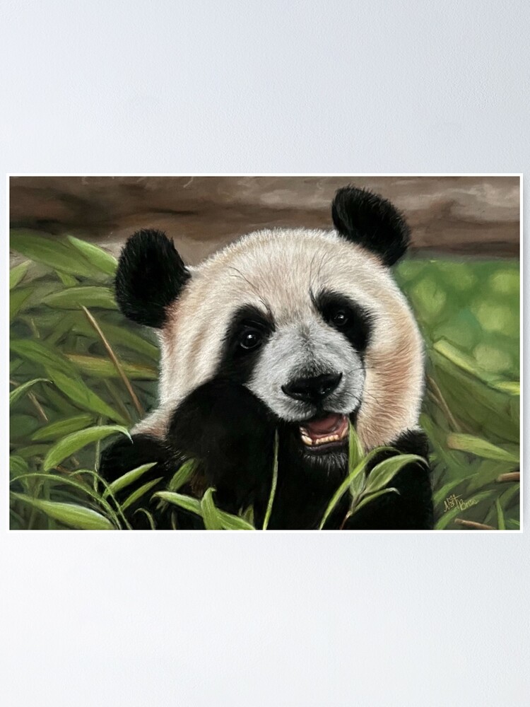 Homepage - Munching Panda