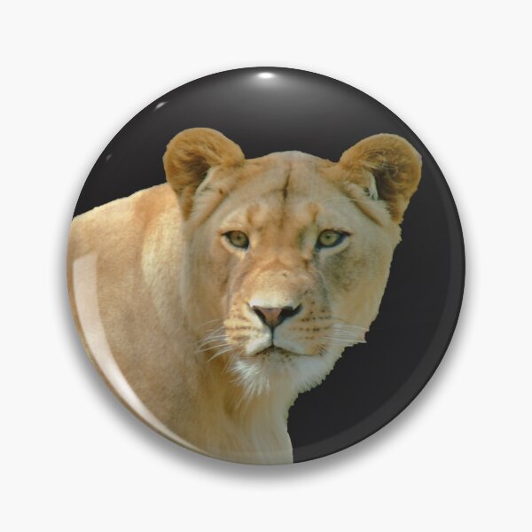 Mac.os x 10.7 lion
