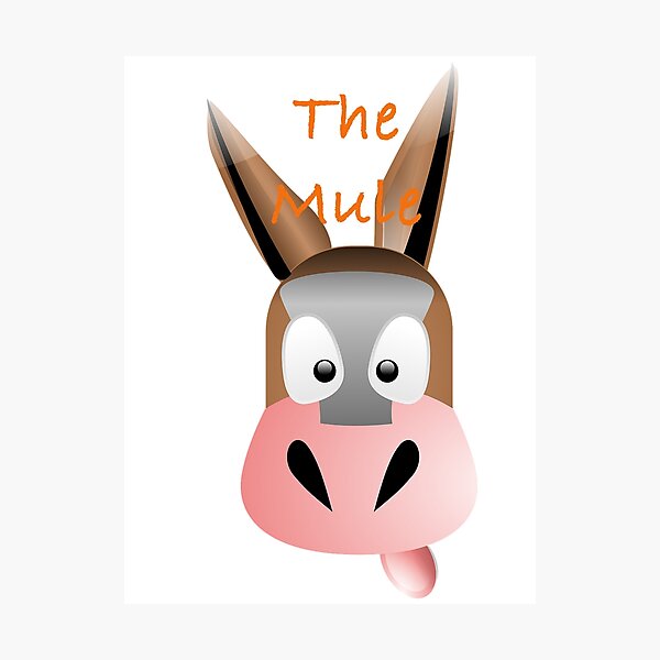 The Mule Photographic Print