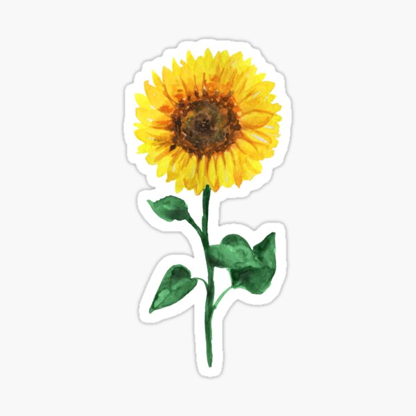 Item preview, Sunflower Watercolor designed and sold by EphrazyGraphics.