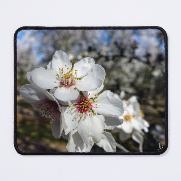 Item preview, Almond Blossoms designed and sold by karinasalwaszka.