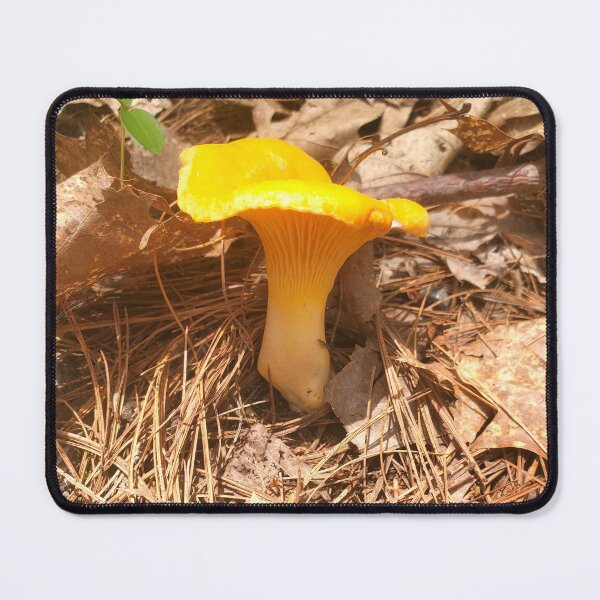 Item preview, Golden Chanterelle designed and sold by etherealwonders.