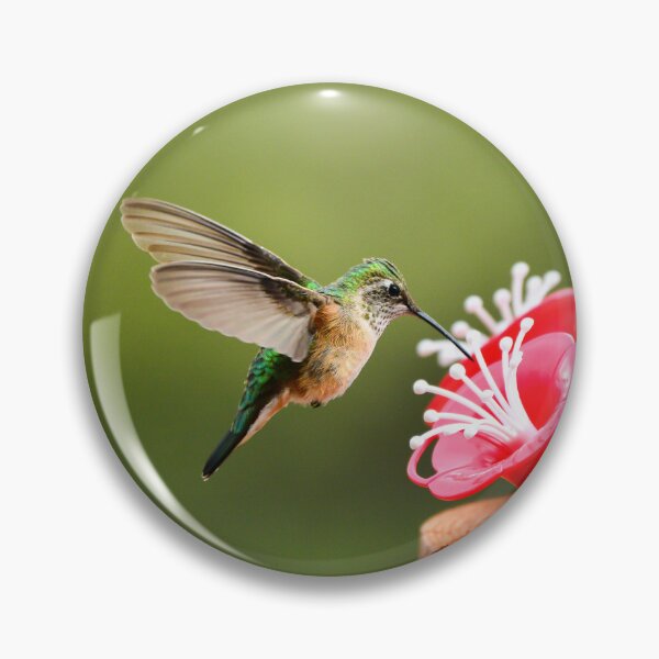 Item preview, Hummingbird designed and sold by Danny Key.