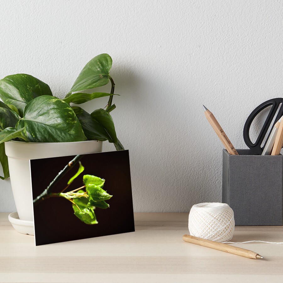 Item preview, Art Board Print designed and sold by dannykey.