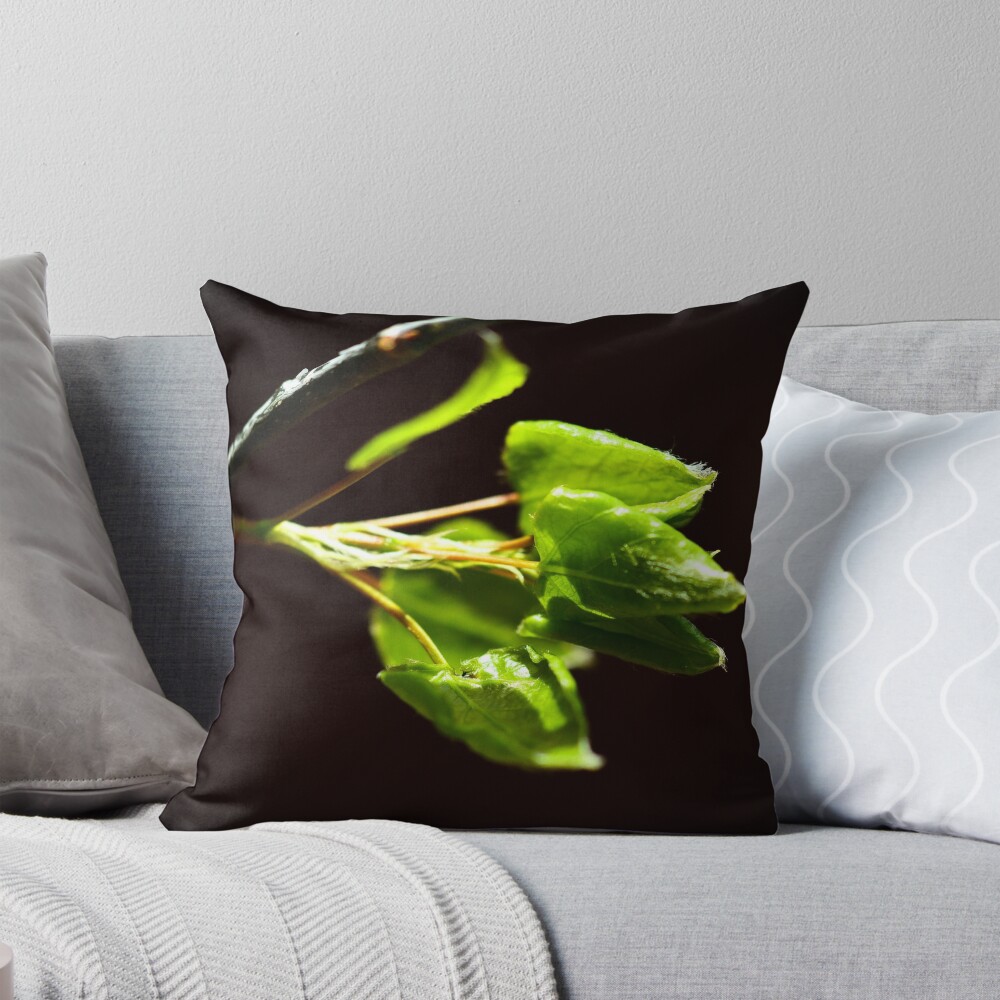 Item preview, Throw Pillow designed and sold by dannykey.