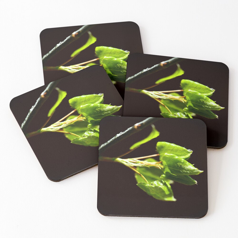 Item preview, Coasters (Set of 4) designed and sold by dannykey.