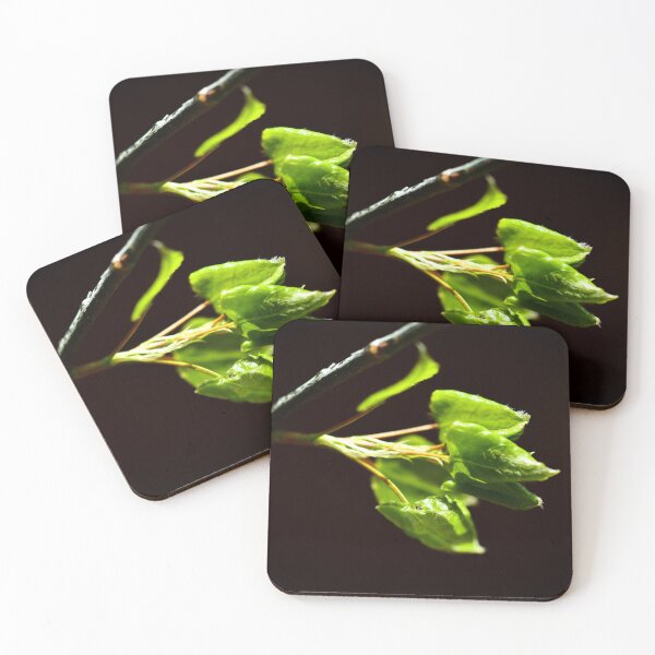 Item preview, Springtime designed and sold by Danny Key.