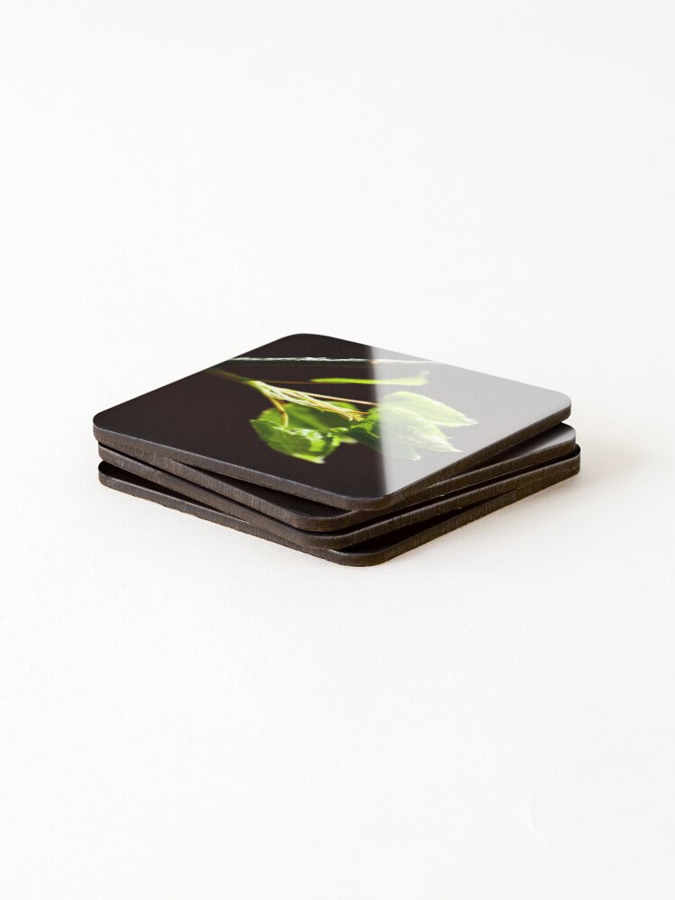 Thumbnail 4 of 5, Coasters (Set of 4), Springtime designed and sold by dannykey.
