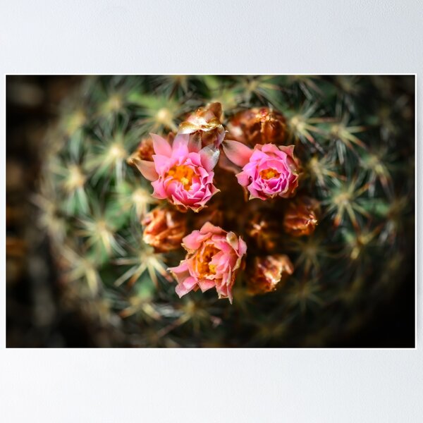 Item preview, Flowers designed and sold by Danny Key.
