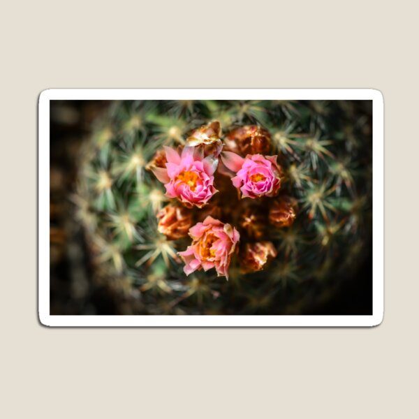 Item preview, Flowers designed and sold by Danny Key.