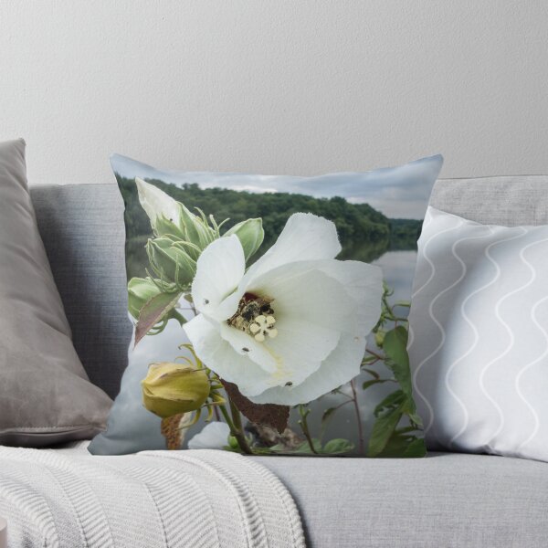 Item preview, Bee inside white flower designed and sold by CSSphotos.