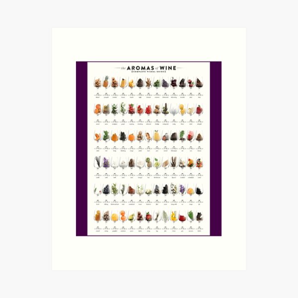 Item preview, The Aromas of Wine Canvas Print 	 designed and sold by xgnpbcbp80.
