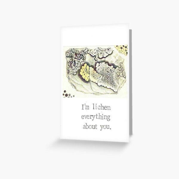 Item preview, I'm Lichen Everything About You designed and sold by BlueSpecsStudio.