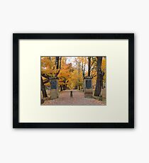 The Path in Fall Framed Print